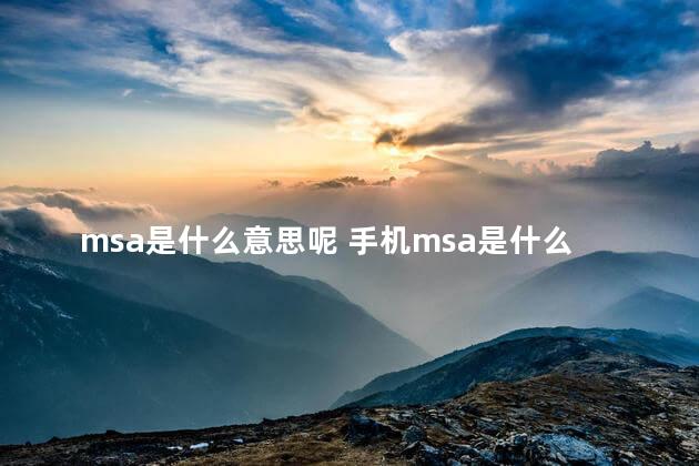 msa是什么意思呢 手机msa是什么意思